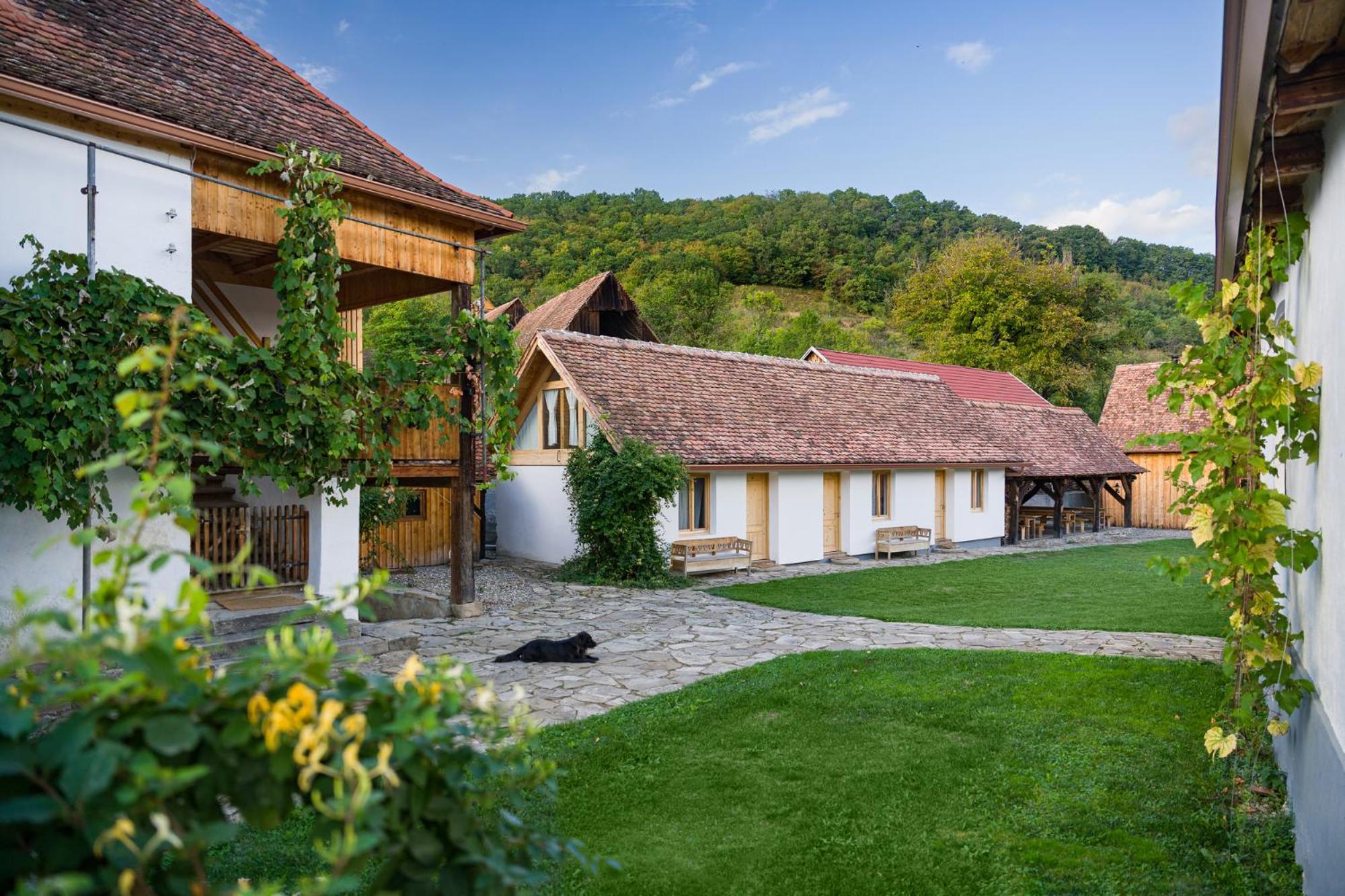 Mesendorf Gasthaus Екстериор снимка